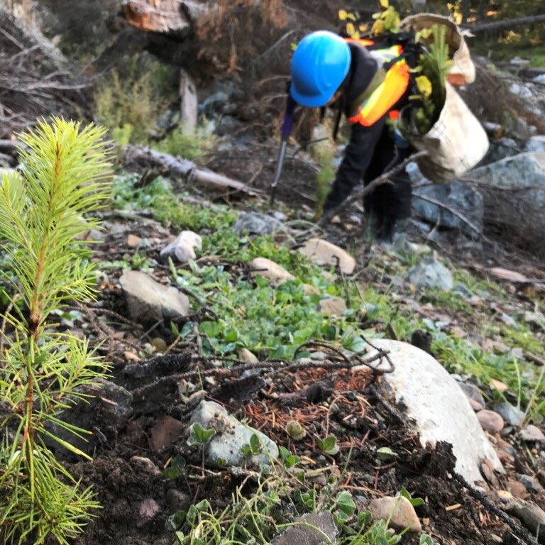 Registration for #TRCR48 is now open!Join us in Penticton Sep 22-25 for the BC Mine Reclamation Symposium. We are also happy to report our #CallForPapers is open through April 15. trcr.bc.ca/2025-symposium…