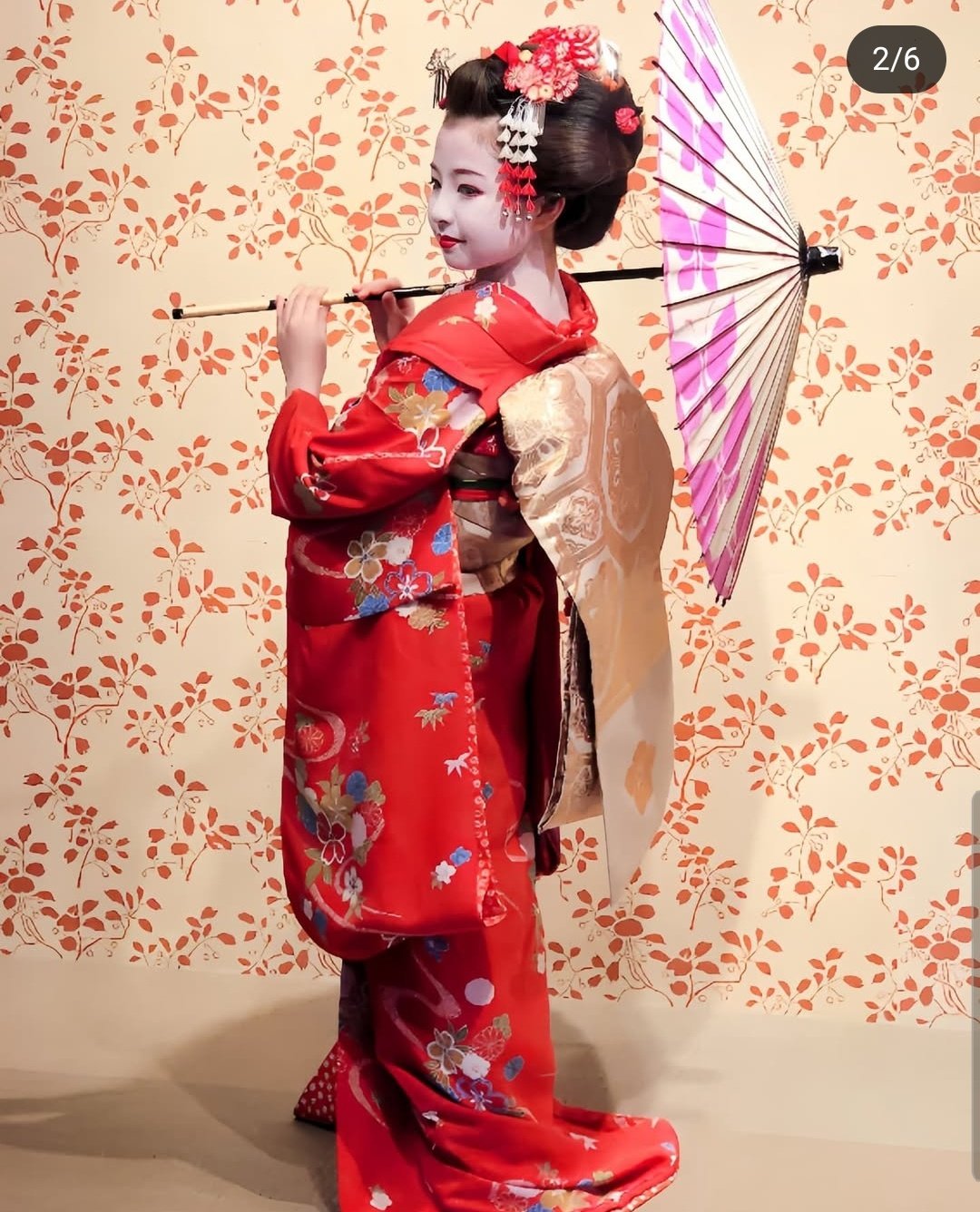 京都の舞妓さん 赤に桜 PSA10 駿河屋 -<中古>MMKTC-108[SA]：京都の舞妓さん 赤に桜