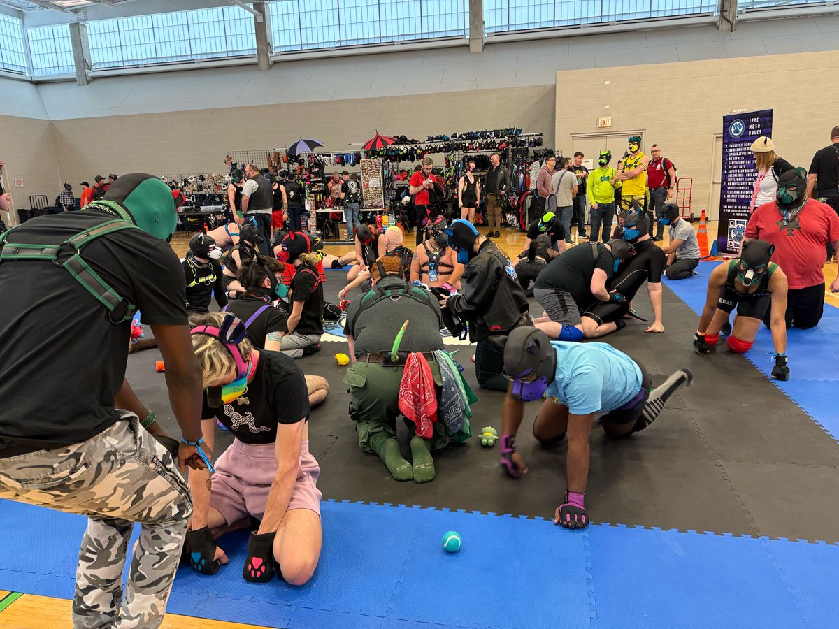 International Puppy and Trainer Contest tweet media