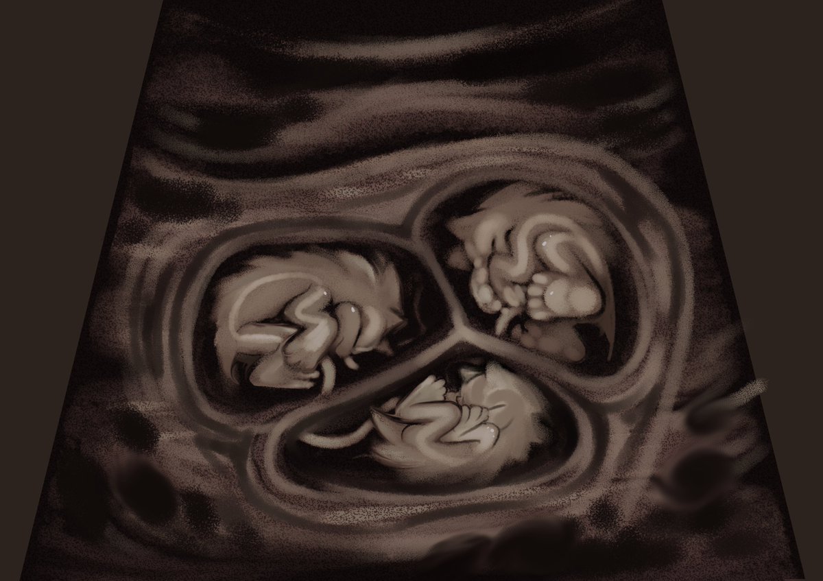 ♡ #Sonadow ♡
🦔💓🦔💓🦔💓