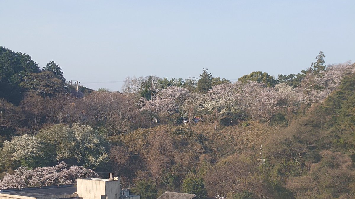おはよー☀
今日は『オープンカーの日』
「4月」が桜の舞う中を走れるオープンカーにとって最高のロケーションの時期であることと、オープンカーは「五感」に訴えかける車であることから

１回くらいはオープンカーを所有してみたいな😆
ほぼ開けないかもだけど🤣