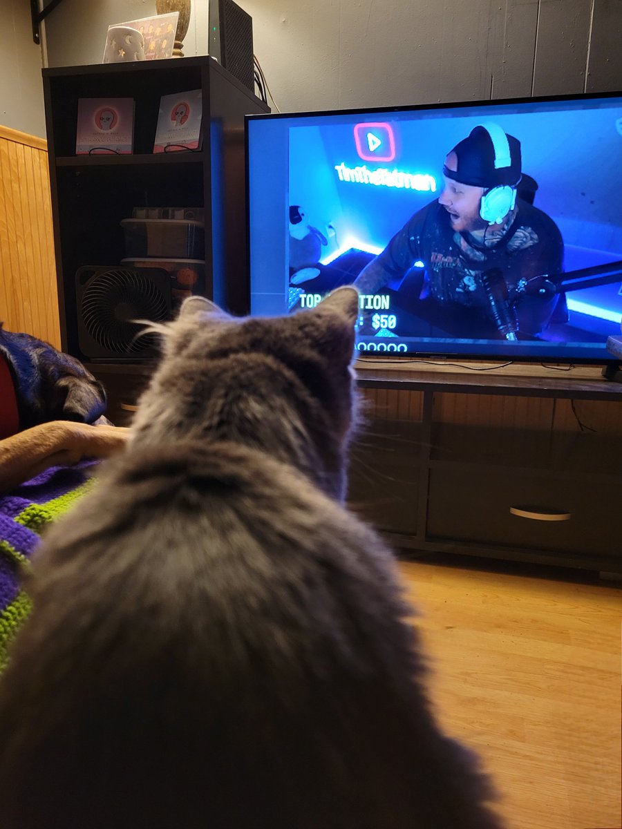 FBH05's tweet photo. My cats a @timthetatman girl https://t.co/A33Ys28J3k