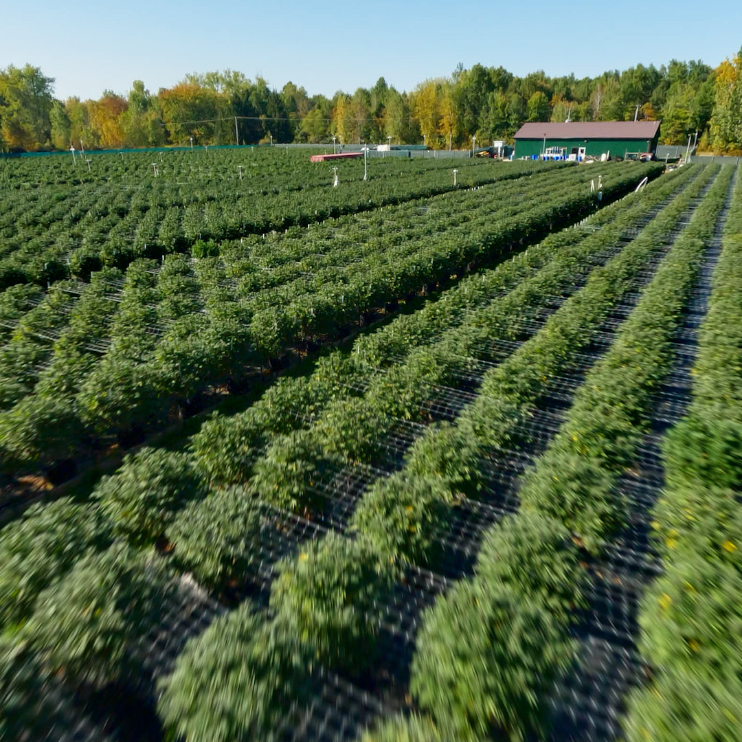 FrontRowAG's tweet image. Ready for the outdoor season? Springtime is here and it is getting closer to that time of the year! Connect with our team to secure pre order pricing this year for the outdoor season. Apply for a commercial account at bit.ly/3QZMjRI