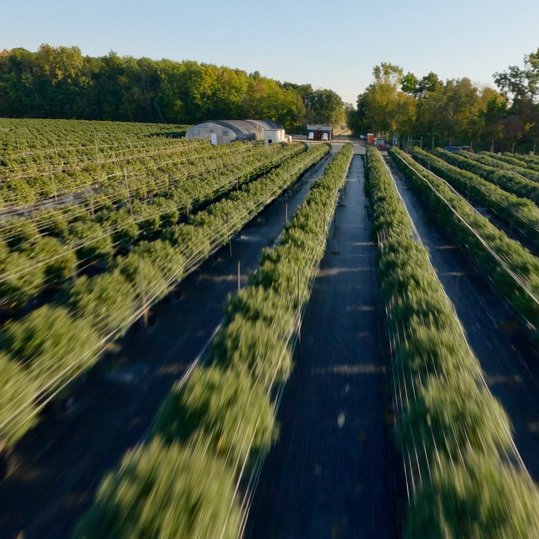 FrontRowAG's tweet image. Ready for the outdoor season? Springtime is here and it is getting closer to that time of the year! Connect with our team to secure pre order pricing this year for the outdoor season. Apply for a commercial account at bit.ly/3QZMjRI