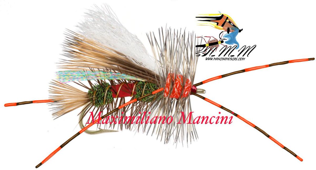 ManciniMaxi's tweet image. 