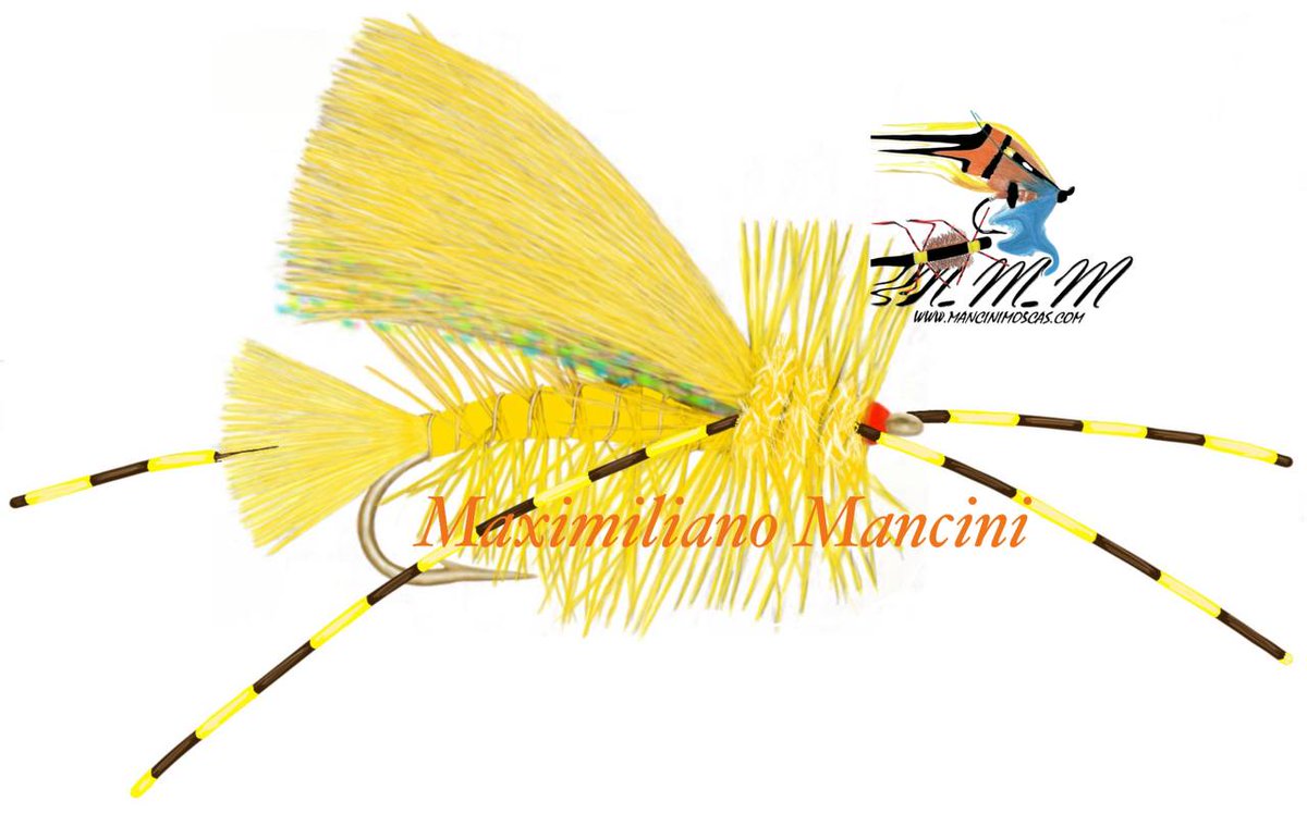 ManciniMaxi's tweet image. 