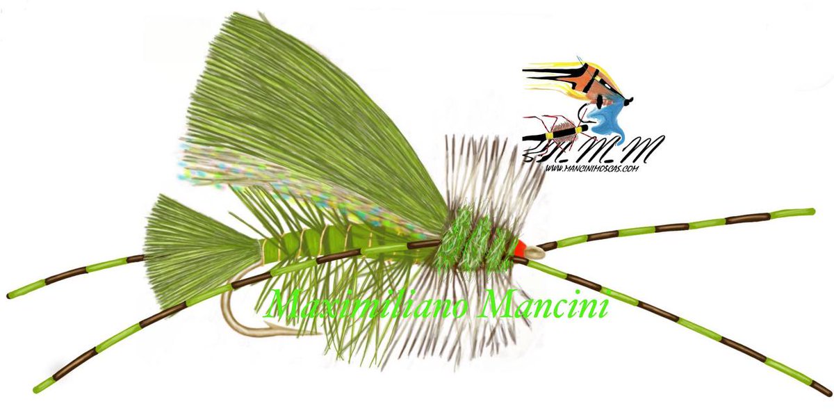 ManciniMaxi's tweet image. 