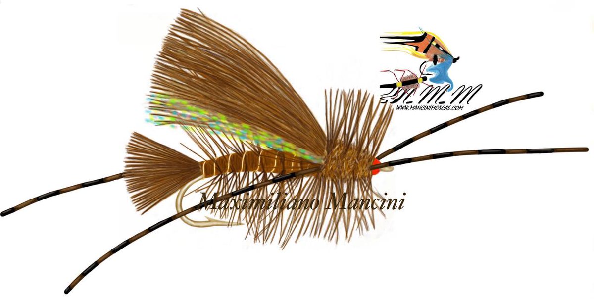 ManciniMaxi's tweet image. 