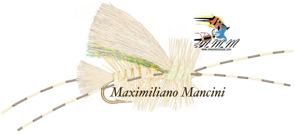 ManciniMaxi's tweet image. 