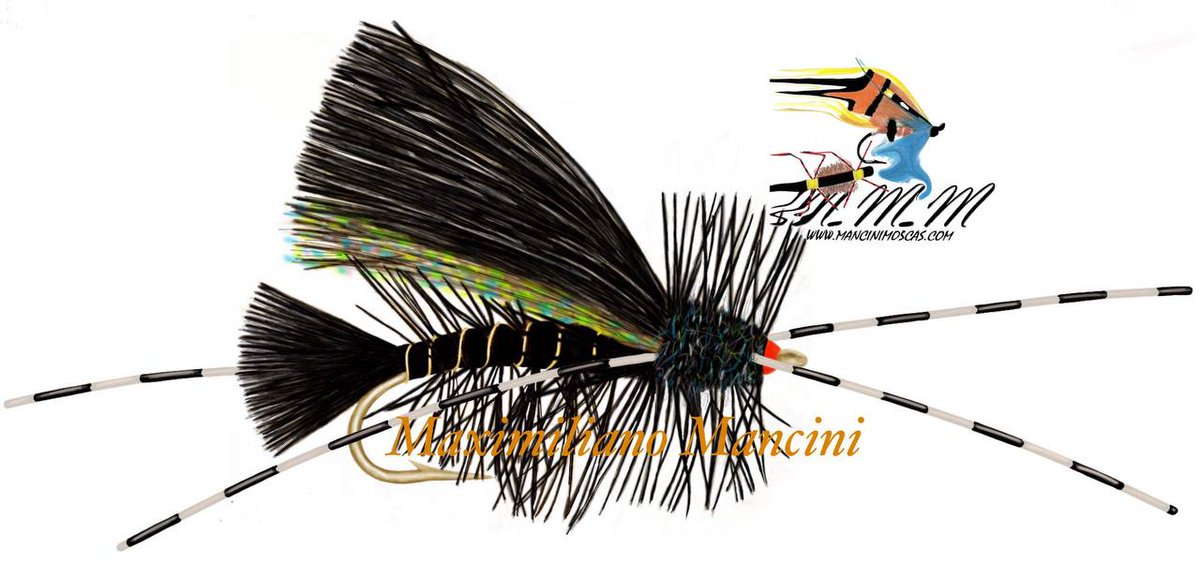 ManciniMaxi's tweet image. 