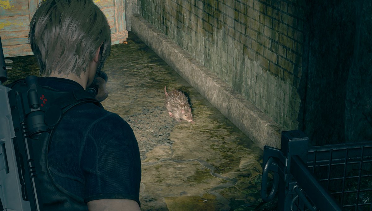 It's World Rat Day. 🐀