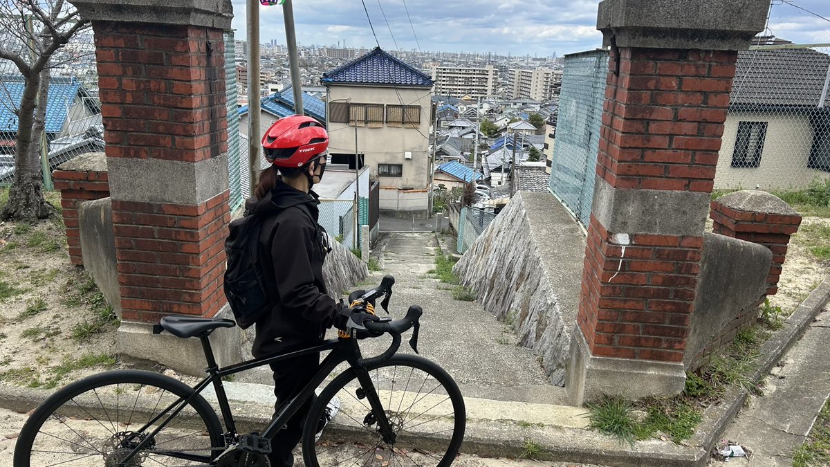 恩智城跡公園で桜見て一休み