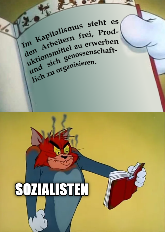 DIE LIBERTÄREN (@die_libertaeren) on Twitter photo 