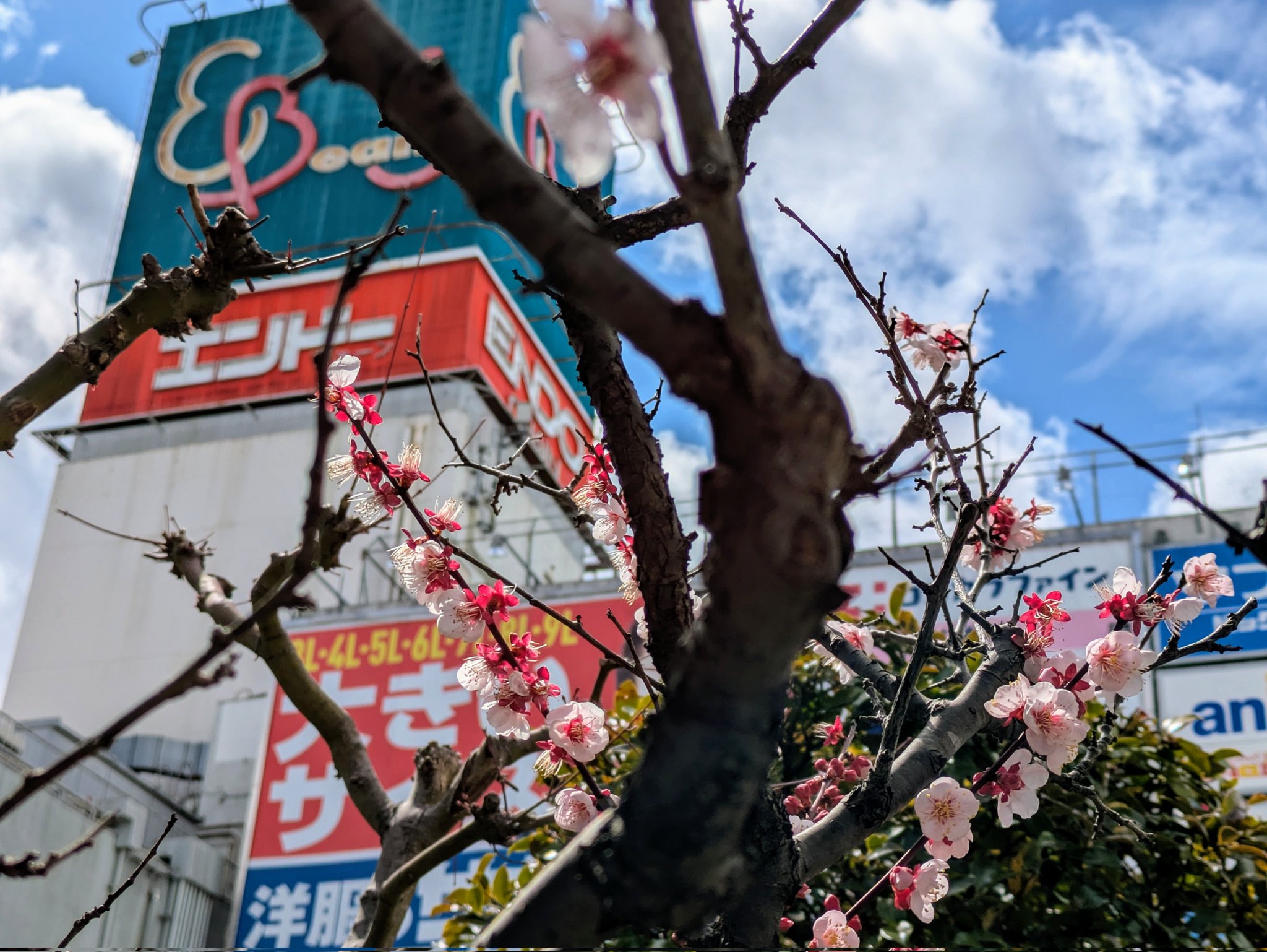 れいᵕ̈*2025年は令和7年で昭和100年らしい( ⋅ ̯⋅) ̆̈·͜·ᰔᩚｰ