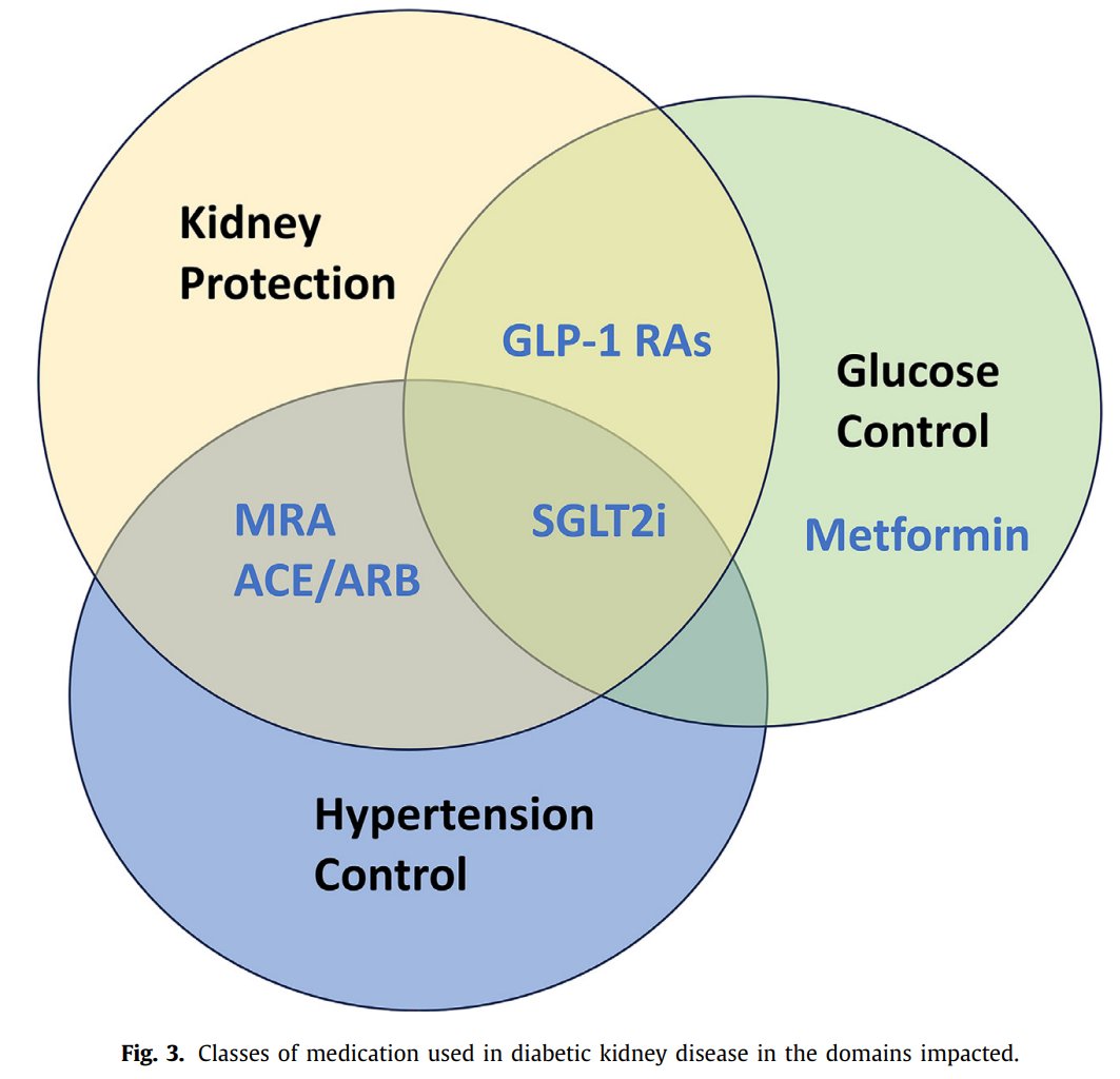 Edgar V. Lerma 🇵🇭 (@edgarvlermamd) on Twitter photo Diabetic Kidney Disease (DKD) ca. 2025 from <a href="/ElsevierConnect/">Elsevier</a> <a href="/AnnaGaddy/">BeanQueen Gaddy</a> <a href="/M_Elraggal/">Mohamed E. Elrggal</a> <a href="/HecmagsMD/">Hector Madariaga, MD FASN 🇲🇽</a> <a href="/DoctorGates/">Gates Colbert, MD</a>
#Nephpearls
👉 pubmed.ncbi.nlm.nih.gov/39753456/ Diabetic Kidney Disease (DKD) ca. 2025 from <a href="/ElsevierConnect/">Elsevier</a> <a href="/AnnaGaddy/">BeanQueen Gaddy</a> <a href="/M_Elraggal/">Mohamed E. Elrggal</a> <a href="/HecmagsMD/">Hector Madariaga, MD FASN 🇲🇽</a> <a href="/DoctorGates/">Gates Colbert, MD</a>
#Nephpearls
👉 pubmed.ncbi.nlm.nih.gov/39753456/