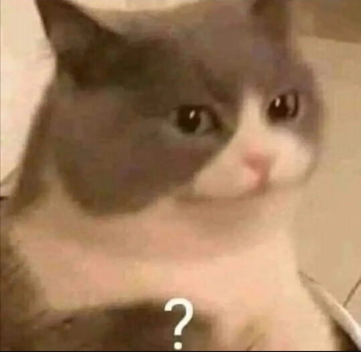 𝐂𝐚𝐬𝐬𝐢𝐞 𝐌𝐚𝐥𝐟𝐨𝐲-𝐆𝐫𝐚𝐧𝐠𝐞𝐫. (@awitchylikeme) on Twitter photo 