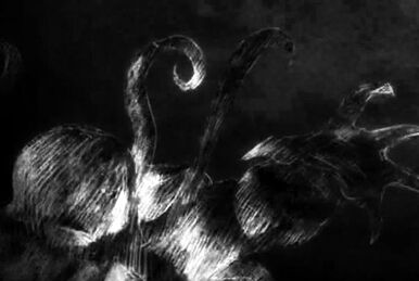 She’s awake. 
Alive in a world full of sleepwalkers choking on false hope.