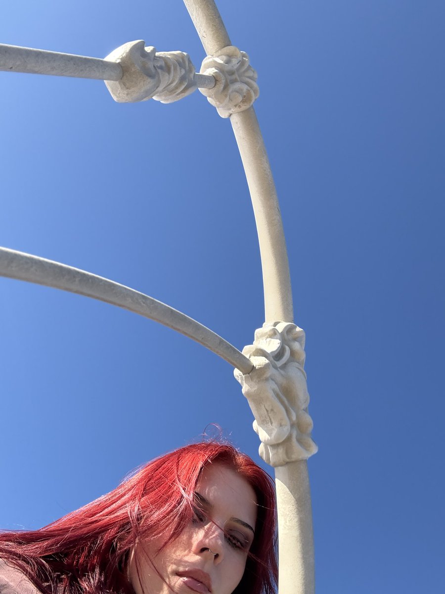 Carley Ridersleeve tweet media