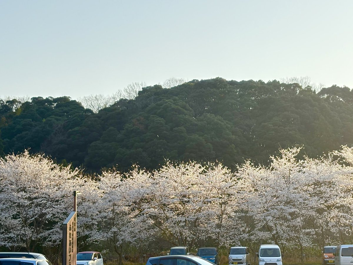 whiskingmeister's tweet photo. 地元の島根は今、どこも桜が満開です🌸
日本一の庭園と言われている足立美術館に行って、日本人の美意識や四季の愛で方を感じてきました🌲✨
故郷への想いが新たに深まり、自然を通じて地元の魅力を再発見できるのが嬉しい〜🙌
#whisking #sauna #pirtis #pirts
#ウィスキング #サウナ https://t.co/l4Zk2oLwjo