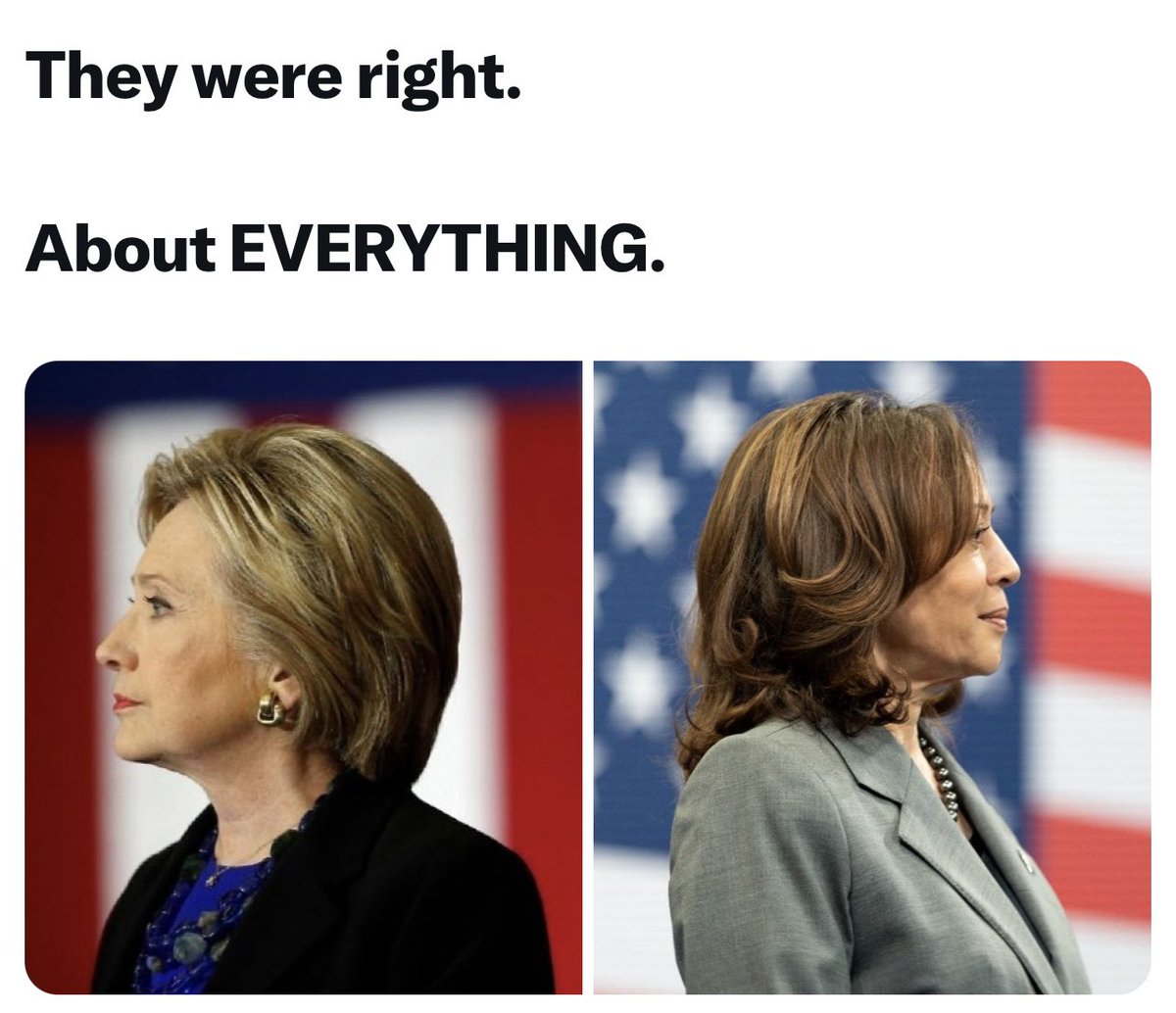 forthecomments1's tweet photo. Hillary Clinton Told you!! 

Vice President Harris Told you!! 

They were right about EVERYTHING! 

But you RACIST, and MISOGYNIST, wouldn’t listen to them, because they are not WHITE MEN!! https://t.co/4SwD09RTUD