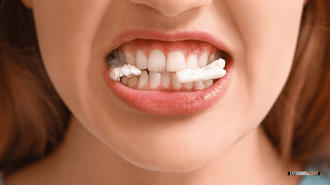 This is just great. Now we can't chew gum anymore. sciencedirect.com/science/articl…