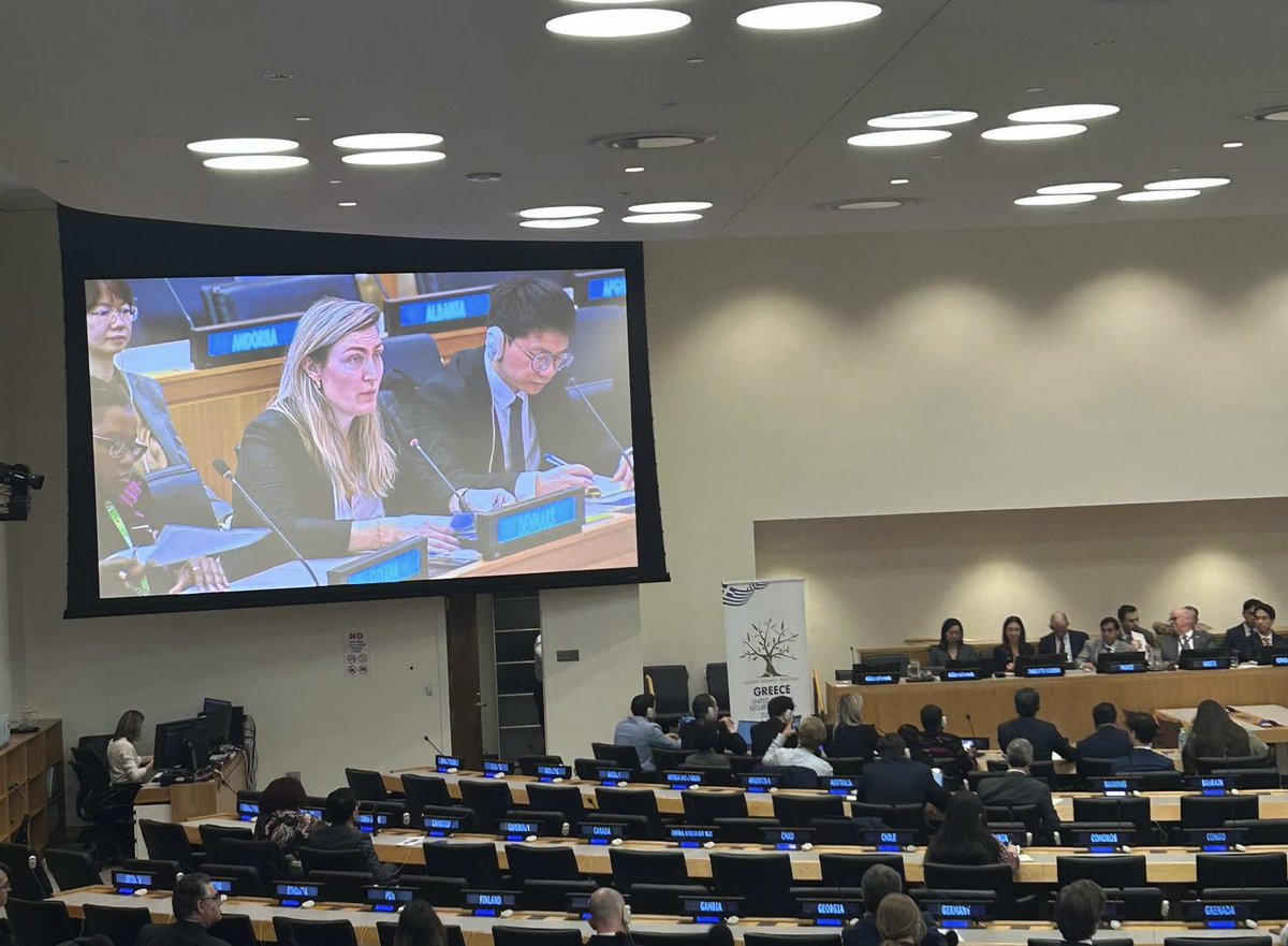 Denmark in UN NY🇩🇰 tweet media