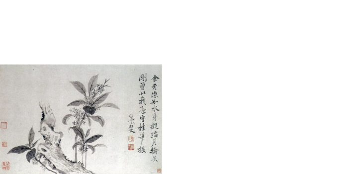 𝐂 (@diveintme) on Twitter photo 