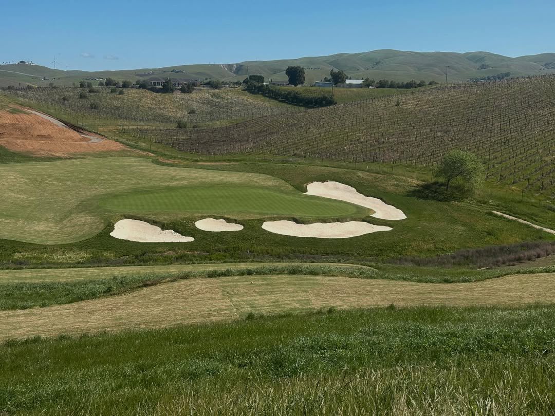 WestCoastTurf's tweet photo. 📸:@jayblasi at Poppy Ridge renovation with/Santa Ana Bermuda💪. @theturfyoda @GHmgmtgroup #jeffmason #integritygolf #santaanabermuda #poppyridge @gcsanc https://t.co/oN5MPeR555