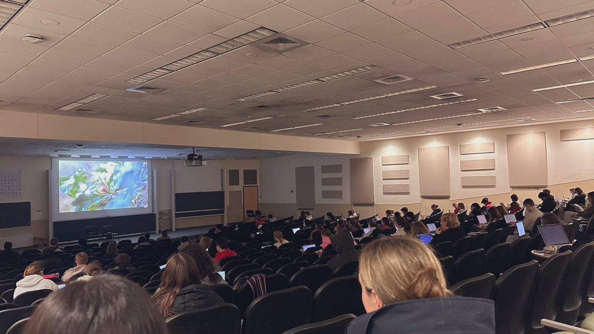 3.300 akademisi kumpul di Ohio, diskusi 3 film: Sexy Killers, Barang Panas, dan serial Bloody Nickel. "Barang Panas" juga dinobarkan serentak 23 kampus AS dan Kanada.

Sebagai sutradara, saya diundang.
Tapi visa ditolak :)

tempo.co/lingkungan/rat…
floresa.co/reportase/mend…
