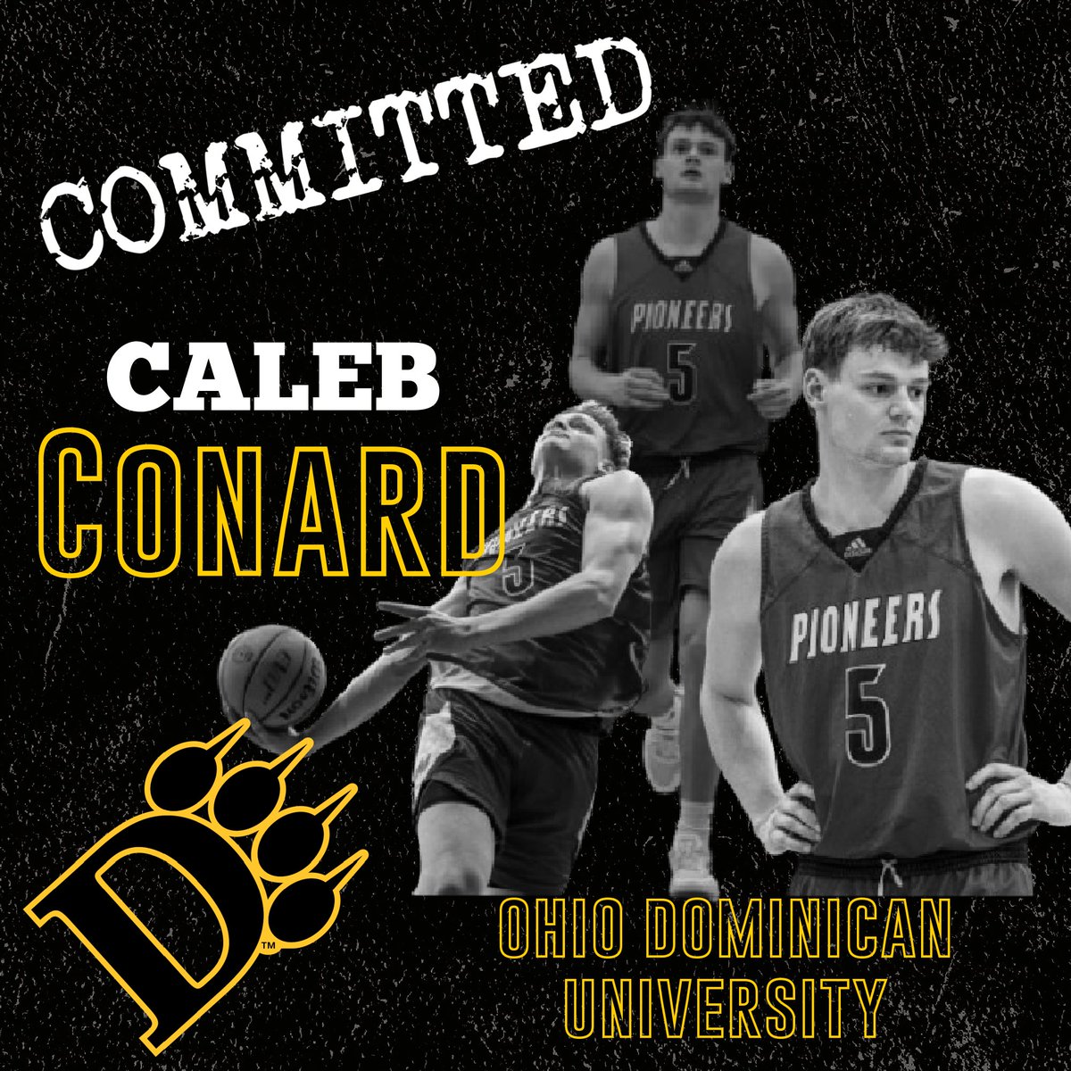 caleb conard tweet media