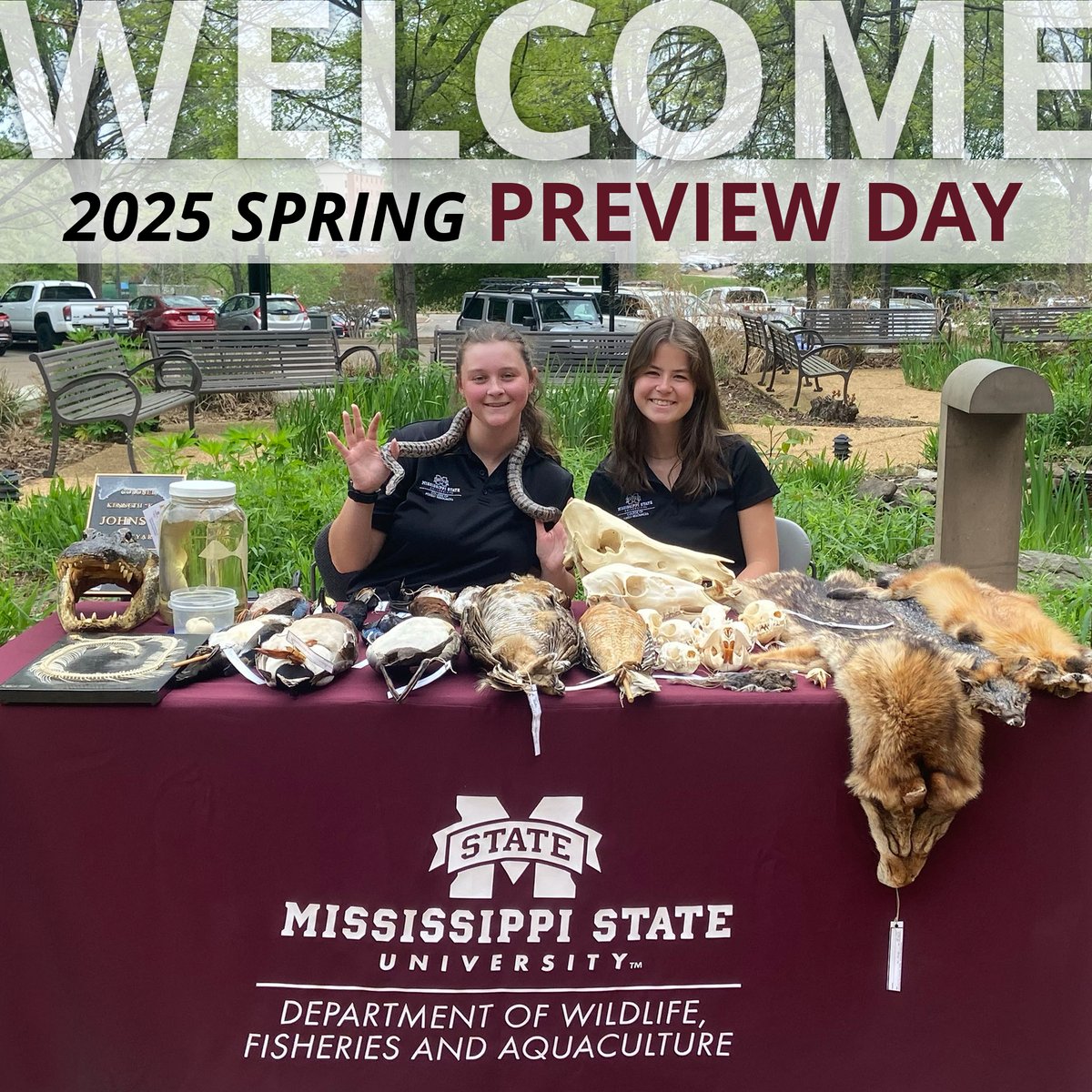 MSU Wildlife, Fisheries, and Aquaculture (@msuwfa) on Twitter photo <a href="/msuwfa/">MSU Wildlife, Fisheries, and Aquaculture</a>'s faculty and students loved meeting you at #Preview Day! We hope you will join the Bulldog #family and make this your home away from #home!
#HailState #College #MSUWFA #MSUCFR <a href="/msuwfa/">MSU Wildlife, Fisheries, and Aquaculture</a>'s faculty and students loved meeting you at #Preview Day! We hope you will join the Bulldog #family and make this your home away from #home!
#HailState #College #MSUWFA #MSUCFR