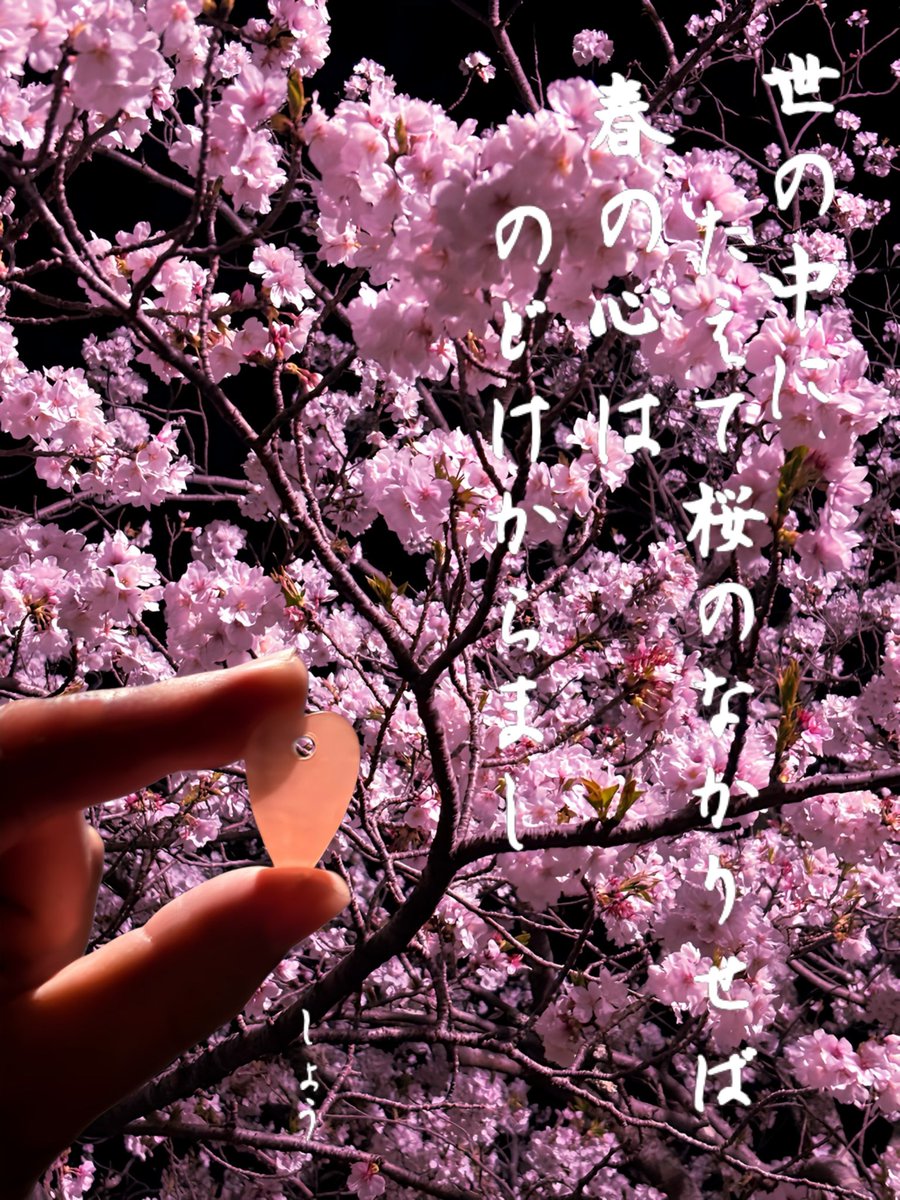 🌺🌼しょう🌼🌺~ꕤ~ଯ~ꕤ~ tweet media