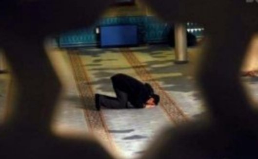 ربى رجوتك أن تزرع فى قلوبنا الفرح دون إكتفاء ، والسعادة دون شقاء ، وأجعلنا أسعد خلقك ، وأقرب عبادك إليك 🌿💚🌿💚