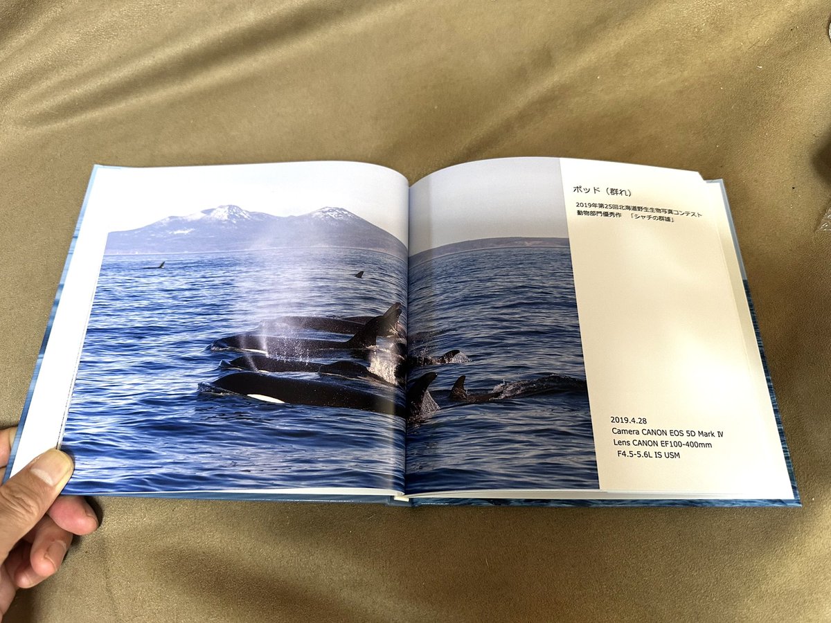 知床ドリーム (@hayakawa0622) / Posts / X