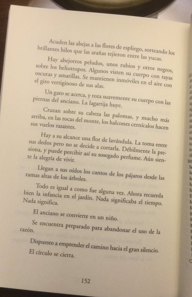 med006803's tweet photo. La infancia en el jardín, por #JoaquínCestinoPérez, o el paso inexorable de la vida o “el camino hacia el gran silencio”. https://t.co/RPUwRjJhBX