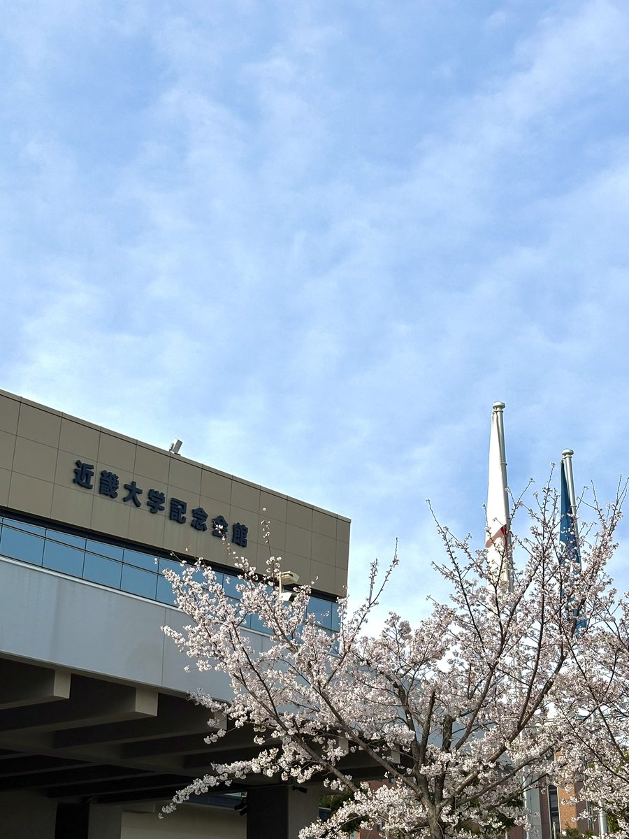 os_shinkan2026's tweet photo. 今日はいよいよ入学式ですね！🌸
不安や緊張、そして楽しみな気持ちで胸がいっぱいのことと思います✨

もしかしたら入学式でみなさんとお会いできちゃうかもしれません…！
お楽しみに🤭

#春から近大 #近畿大学 #近大入学式 #入学式 #近大新歓 #近大サークル #アカペラサークル https://t.co/8eAJRFAvXn