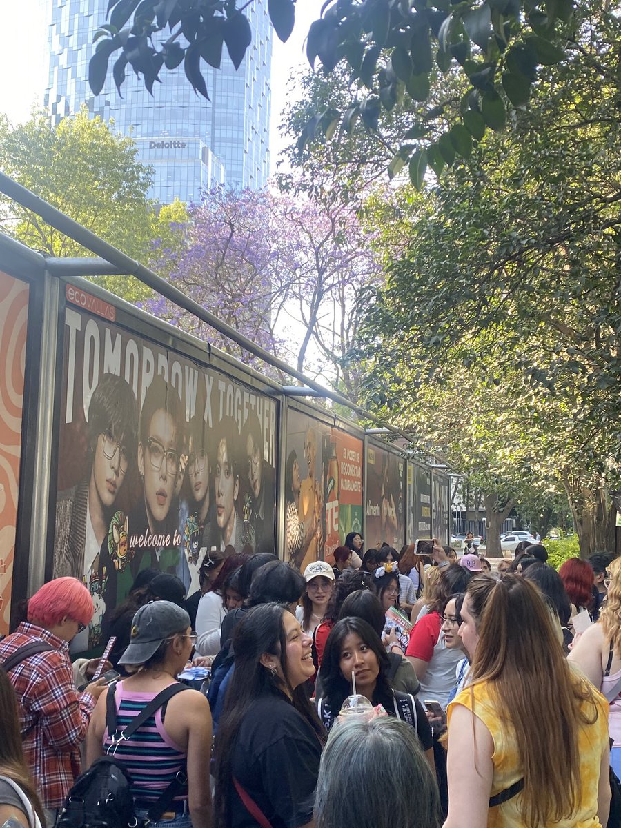 birdofmidnights's tweet photo. streets of mexico full of txt, the real moa payola 🗣️🗣️🗣️🗣️ https://t.co/vCM7PTNvh1