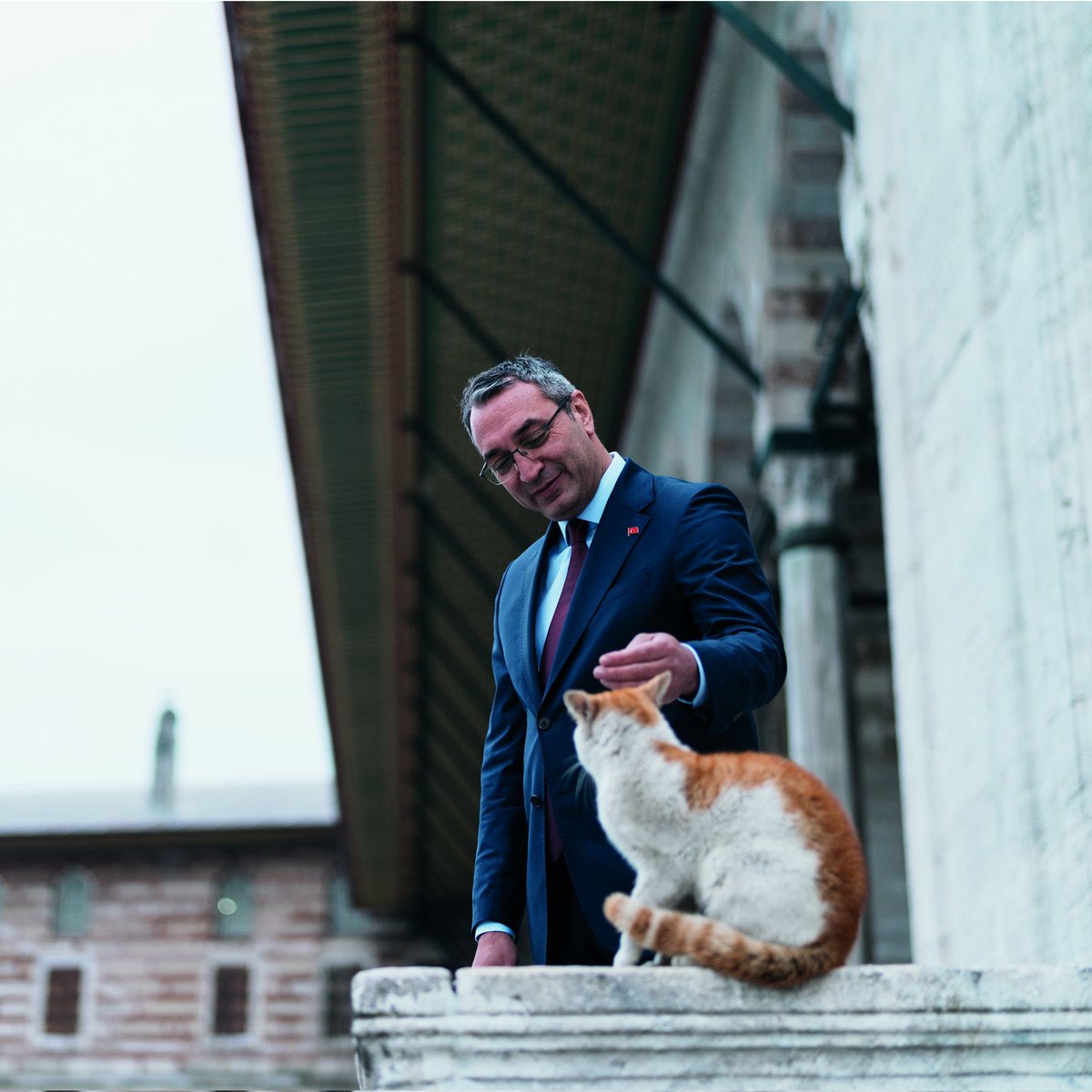 mahir polat’ın beni niye bu kadar yaraladığını anladım, hikayesi
bizim hikayemiz çünkü.

sıradan bir aileden çıkıp uzunca süre hayatın kahrını çekiyor. zamanla insan tanıyor ve en sonunda kendisine hayallerini gerçekleştirme fırsatı veren bir ekibin parçası oluyor.
+