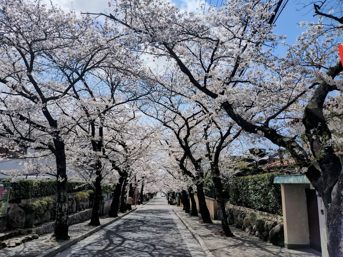 e4%b8%89%e6%b5%a6%e6%98%a5%e9%a6%ac%e7%94%9f%e8%aa%95%e7%a5%ad