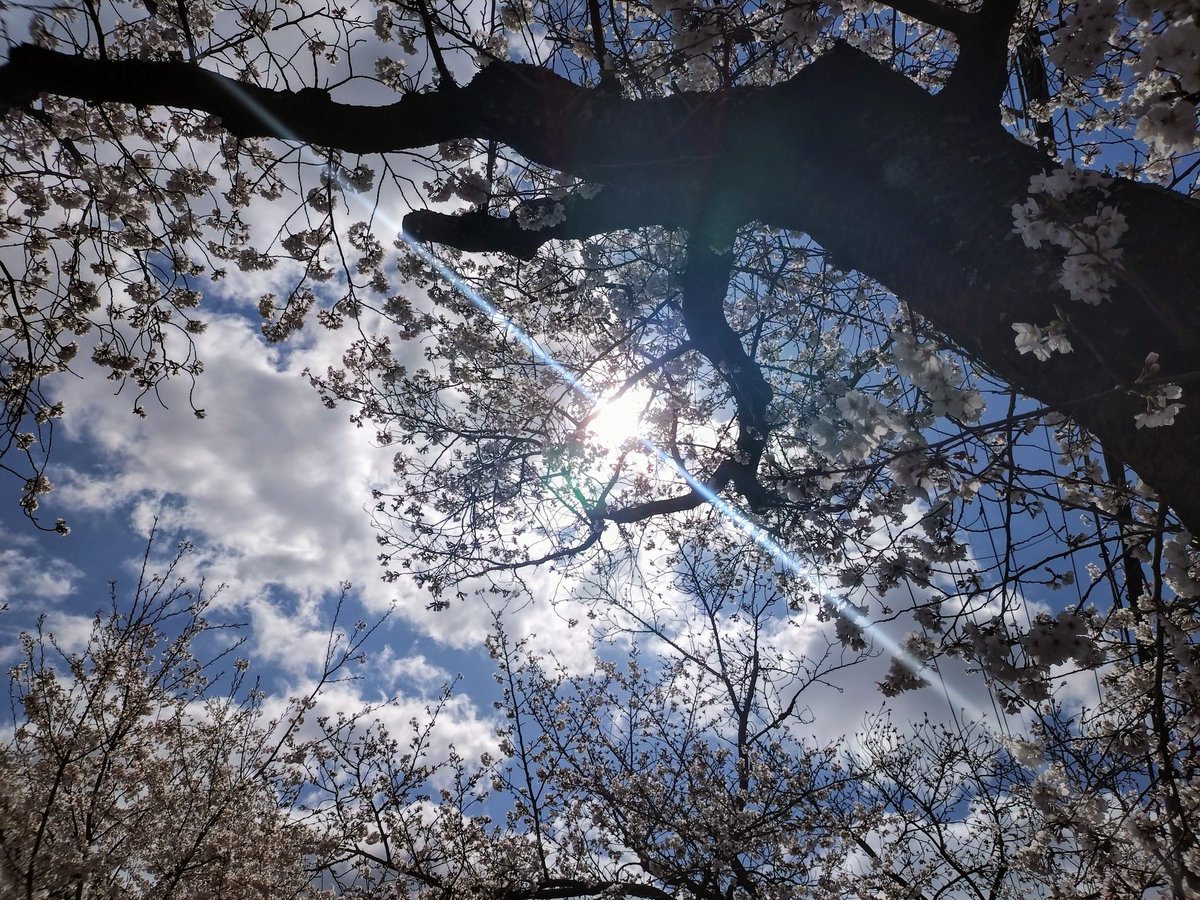 e4%b8%89%e6%b5%a6%e6%98%a5%e9%a6%ac%e7%94%9f%e8%aa%95%e7%a5%ad