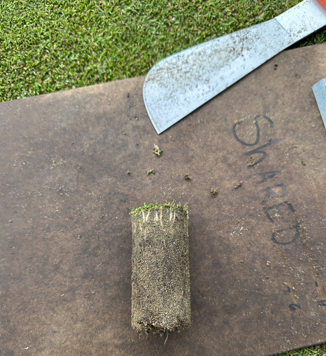 Eric Langford tweet media