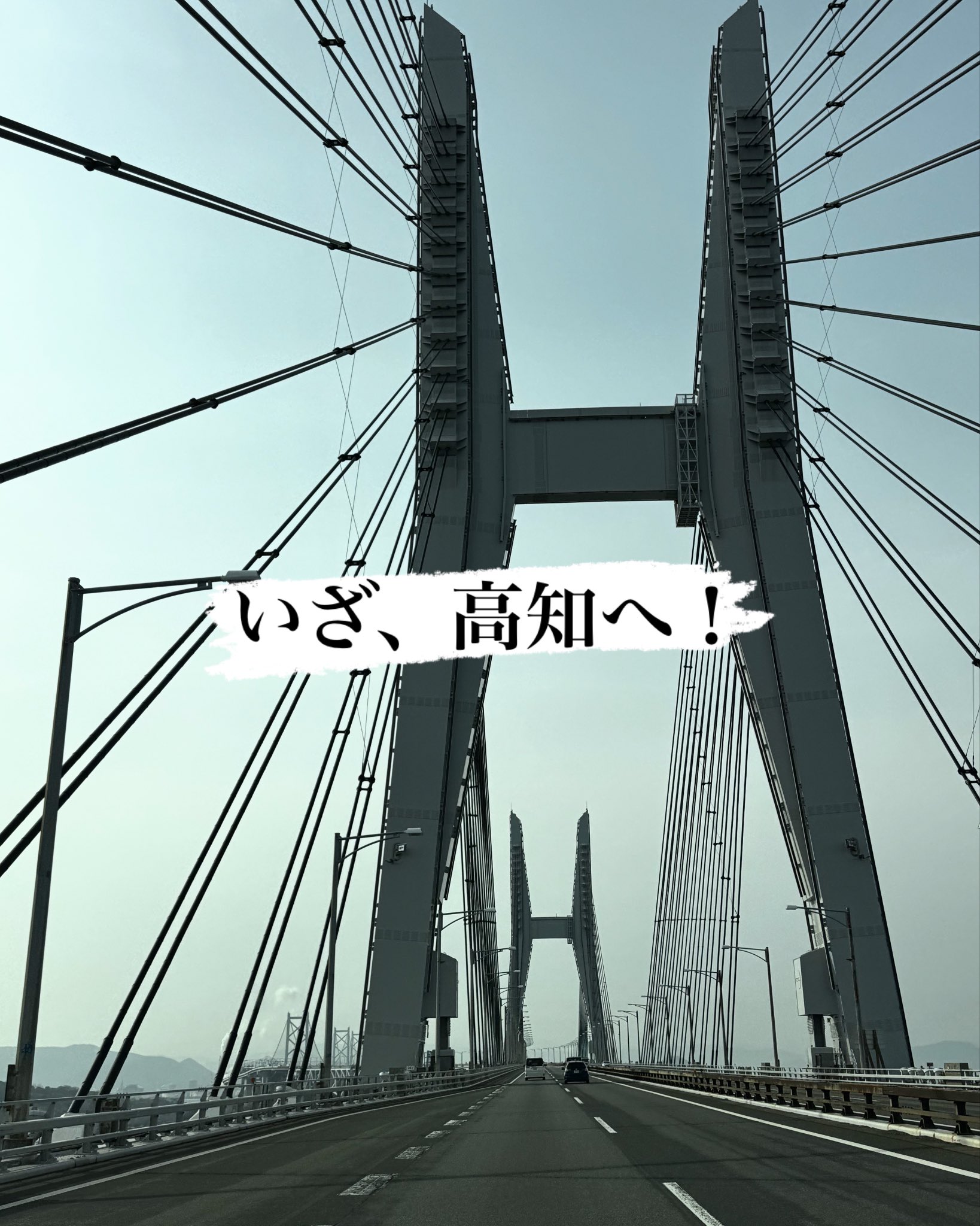 舞囃子様 リクエスト 2点 まとめ商品 にく様 リクエスト 2点 まとめ商品 まとめ売り