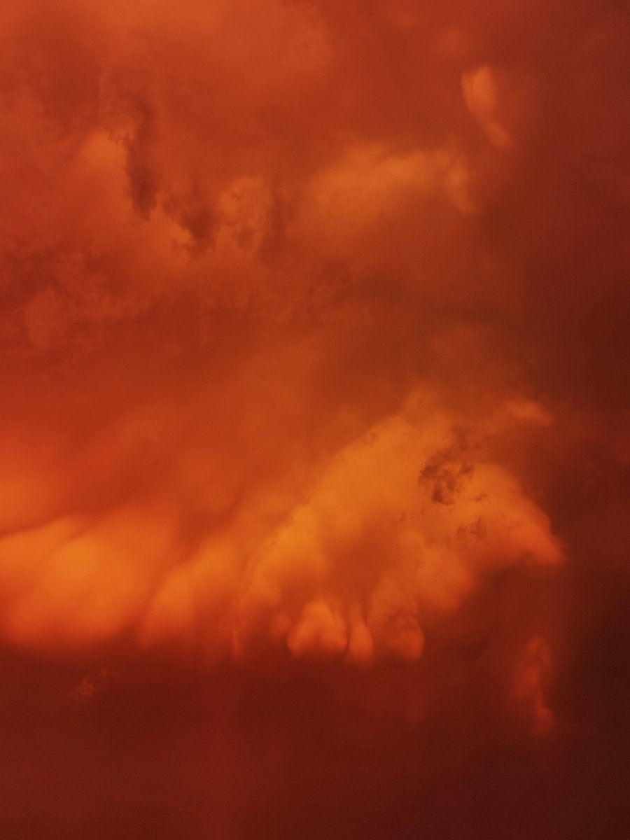 Fan de las nubes naranjosas