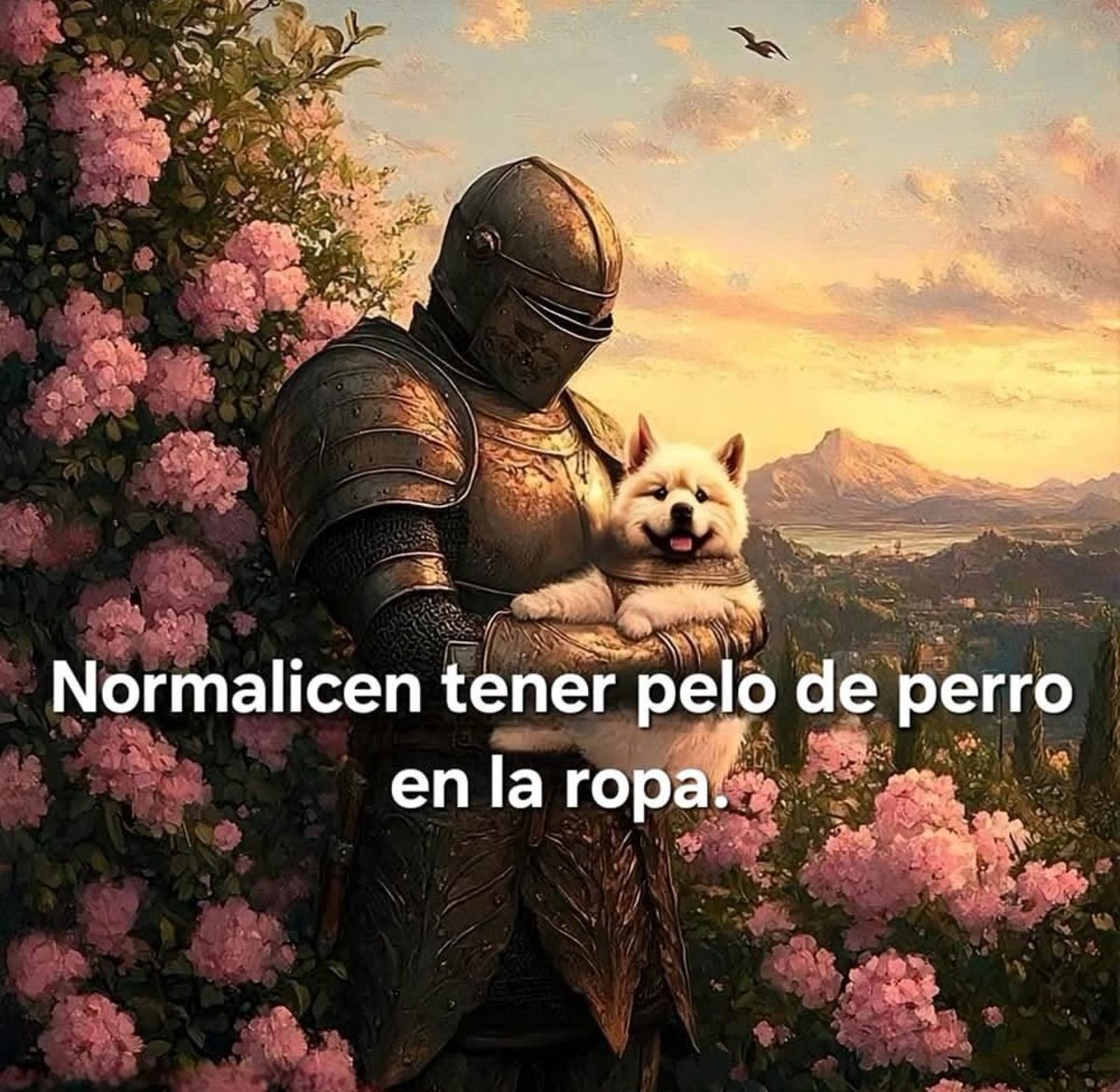 Dilo con perritos (@diloconperritos) on Twitter photo 
