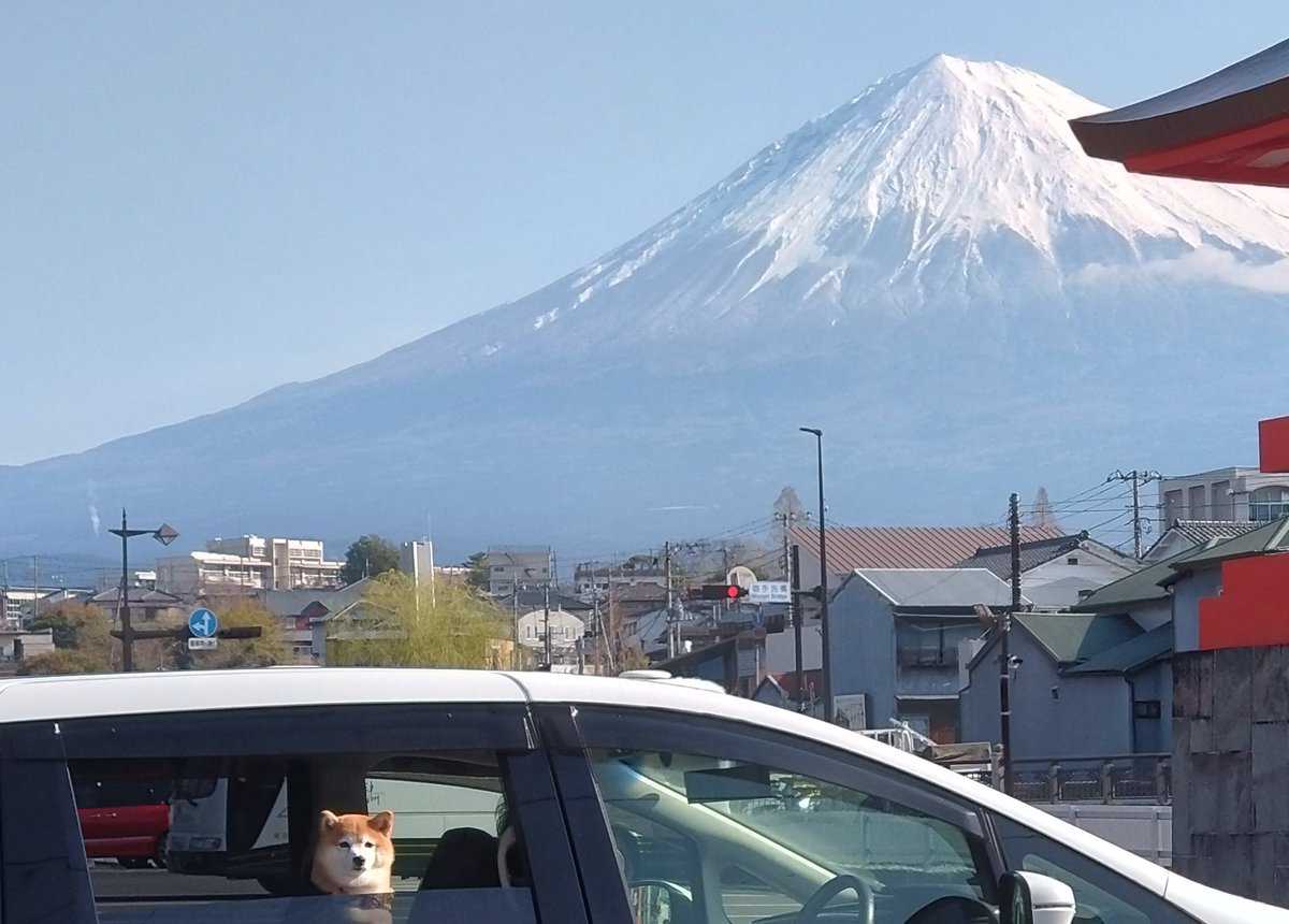 ｲｯﾇが勝手にフレームインしてきた