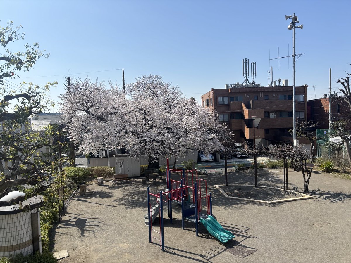 etsuko_yoga's tweet photo. 久が原ヨガ、お花見ヨガ始めまーす https://t.co/4vlgAkLi6j