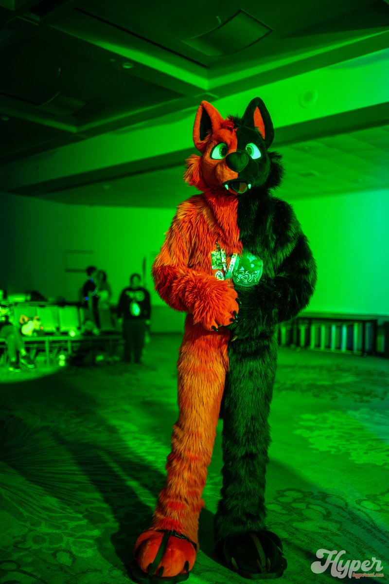 KybaCWC's tweet image. Happy #FursuitFriday everyone!!! ❤️🖤💙💚
Only a few days left until #fcl2025. Excited to be there.
I love so much this picture :3
🪡 by me ^^ -CwC- :3 GTi❤️🖤
📸 by Hyper