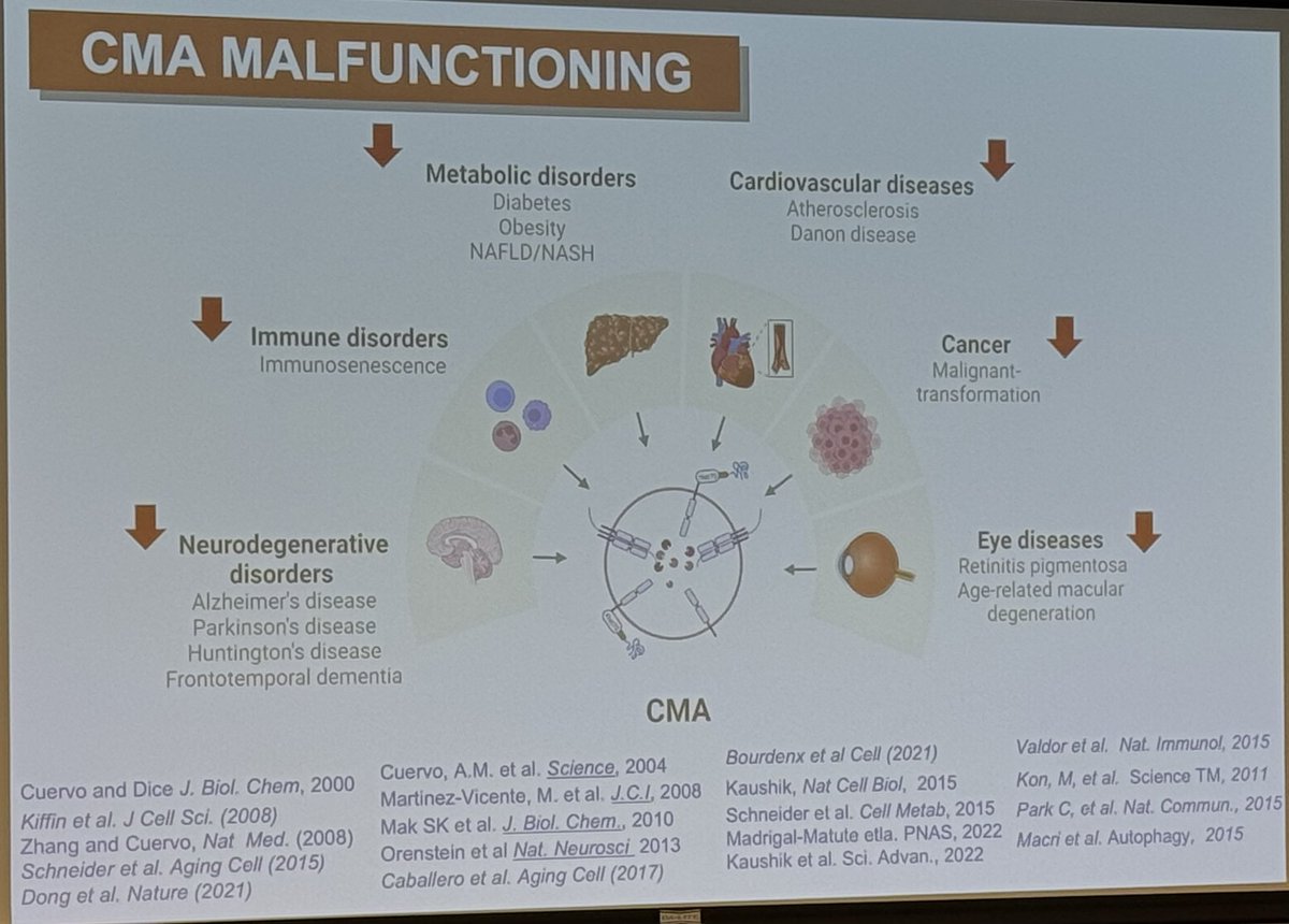 Wafik S. El-Deiry, MD, PhD, FACP (@weldeiry) on Twitter photo Ana Maria Cuervo MD PhD at <a href="/EinsteinMed/">Albert Einstein College of Medicine - Official</a> speaks about Selective Autophagy: Extending health-span one protein at a time at the 228th Interurban Clinical Club meeting at <a href="/WeillCornell/">Weill Cornell Medicine</a> #ICC228 Ana Maria Cuervo MD PhD at <a href="/EinsteinMed/">Albert Einstein College of Medicine - Official</a> speaks about Selective Autophagy: Extending health-span one protein at a time at the 228th Interurban Clinical Club meeting at <a href="/WeillCornell/">Weill Cornell Medicine</a> #ICC228
