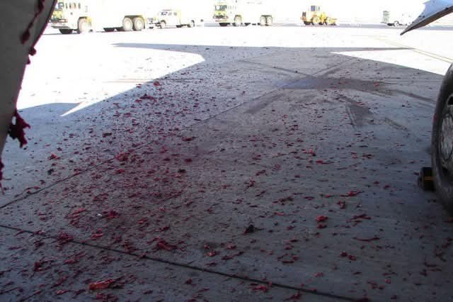 Korbin Pheenix•The Non-Stoppable #FreeStellarBlade tweet media