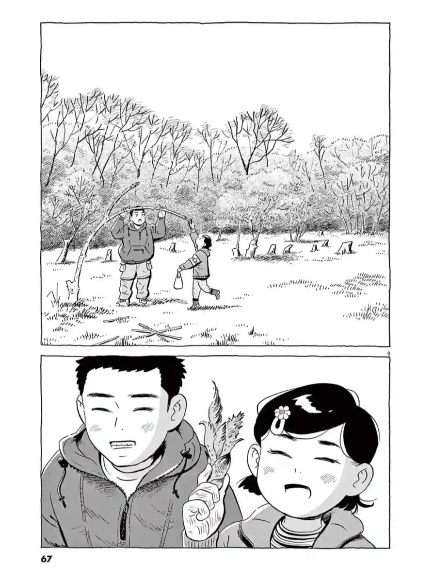 地元の山でタラの芽を採りました。 